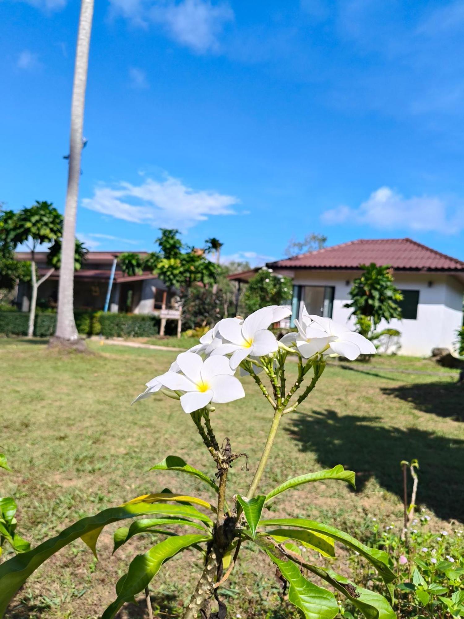The Lodge At Koh Kood Ko Kut Exterior foto